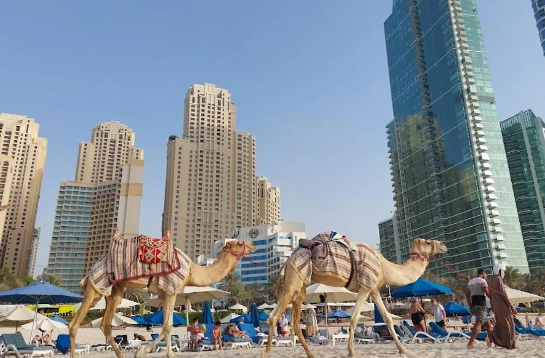 Private Rooms In Coliving Apartments In Jbr Sadaf 8 Dubai Homestay